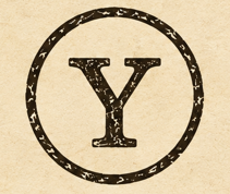 Al Yusra Marketing Solutions